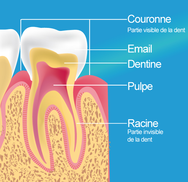 dentiste fontenay le fleury